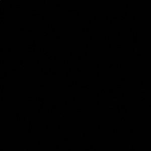 Meet your Posher, Judy